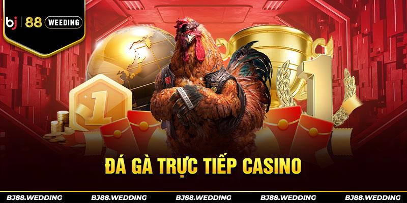 Đá gà casino là gì?